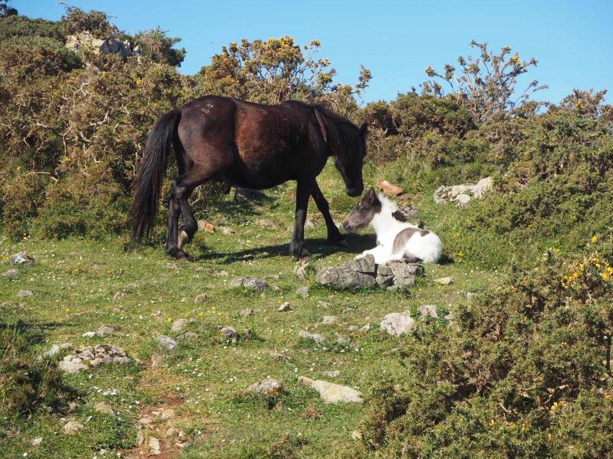 La Cristalina Casa vacanze